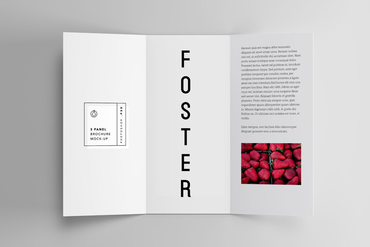 FOSTER - Amazing Display Typeface preview 5