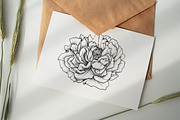 Peony illustrations | invitations, an Illustration by Chewie Co (Thumbnail 9 of 13)