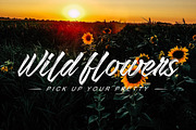 Destroit | Hand Brush Texture, a Script Font by Muntab_Art (Thumbnail 9 of 10)