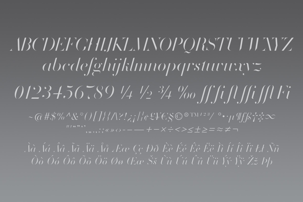 Volterra Family, a Serif Font by Blank Is The New Black (Photo 11 of 11)