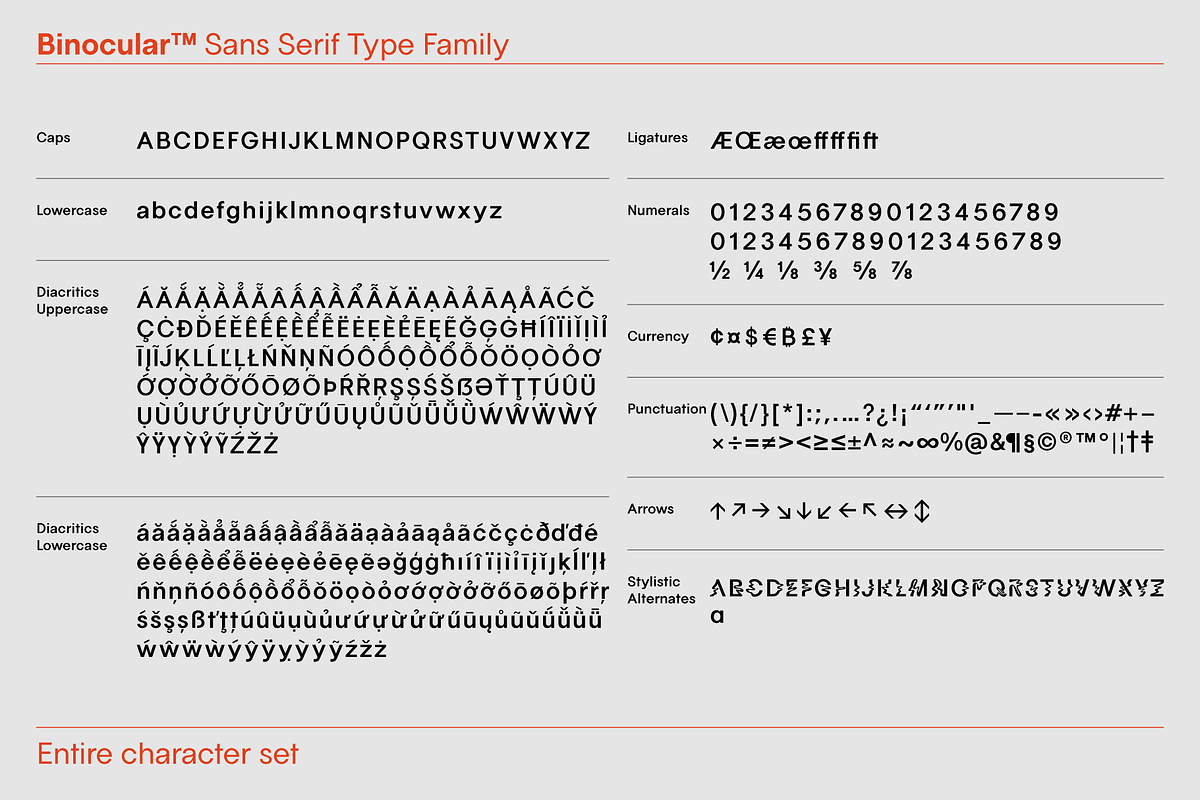 Binocular Sans Font Family, a Sans Serif Font by IRL by Outfit (Photo 11 of 26)
