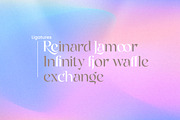 Rogie - Modern Display Serif, a Serif Font by Mokatype Studio (Thumbnail 9 of 11)