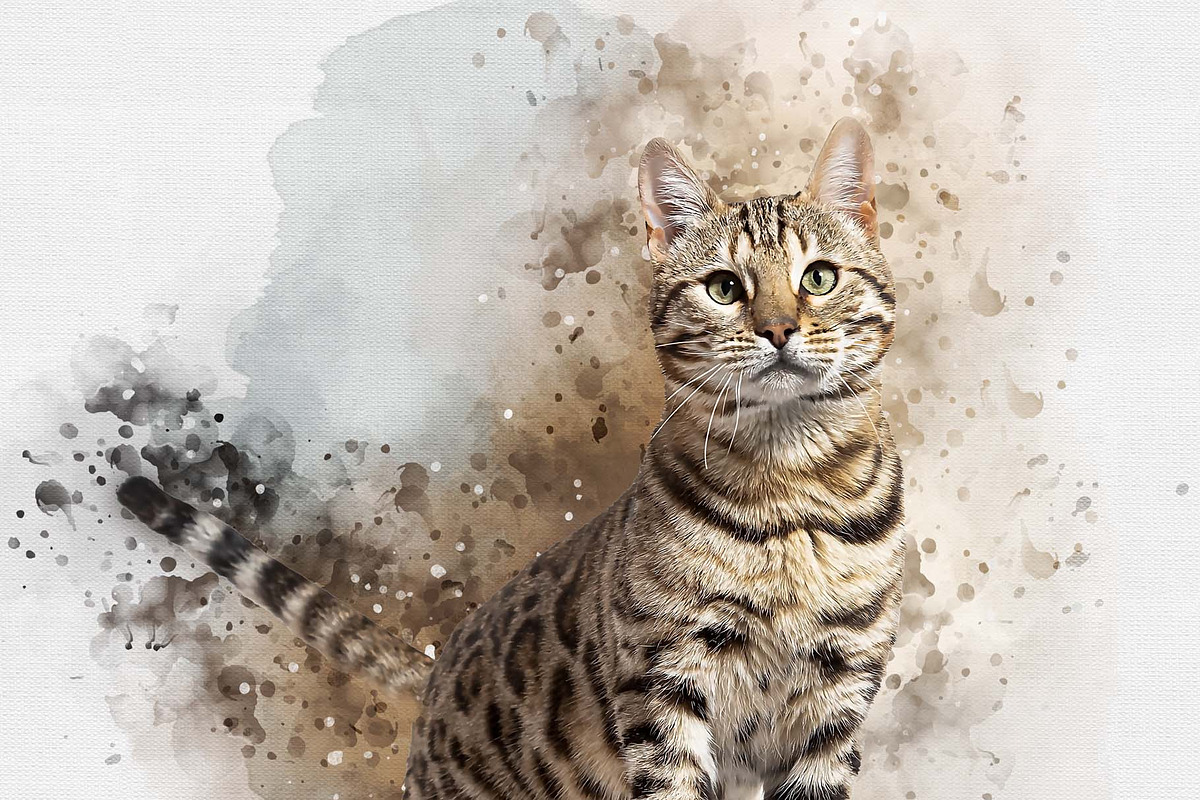 Brush Art Photoshop Action, an Action Add-On by MRI STUDIO (Photo 9 of 16)