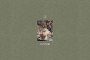 Botanical Still Life Photography, a Background Graphic by bron.alexander (Thumbnail 10 of 10)
