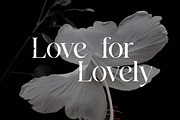 Westbury Claridge Luxury Serif Font, a Serif Font by UICreative (Thumbnail 11 of 13)