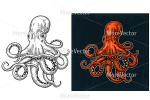 Octopus Engraving Vintage