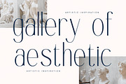 Authentic Megarilo Modern Sans Serif, a Sans Serif Font by Letterena Studios (Thumbnail 5 of 15)