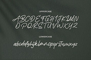 Life Rolling - Handwritten Script, a Script Font by Typefactoryco (Thumbnail 2 of 9)