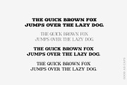 Ronald Gunfire Serif Font Family, a Slab Serif Font by Sentavio (Thumbnail 7 of 12)
