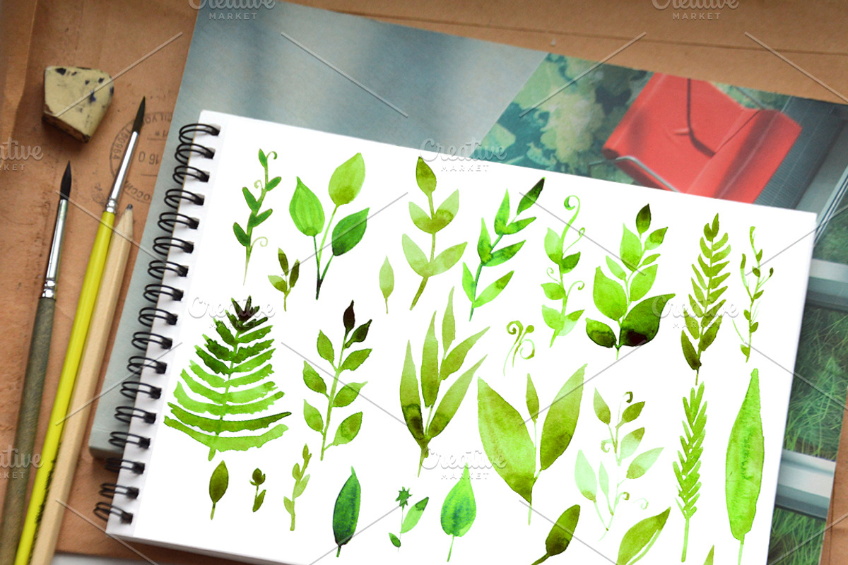 Watercolor Herbs and leaves, an Illustration by Olesya Morokhovets (Photo 2 of 4)