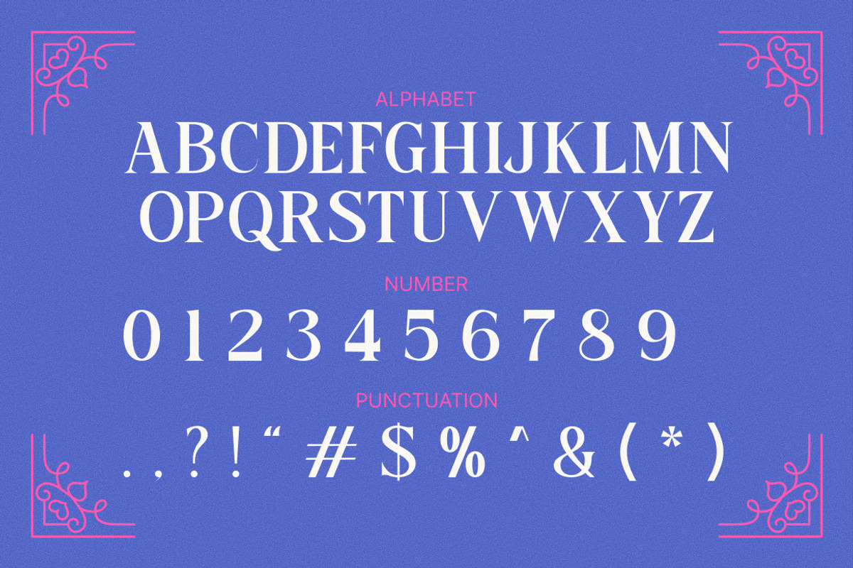 Modeal Modern Serif Display Font, a Serif Font by Rasio Studio (Photo 2 of 7)