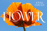 Lovine, a Serif Font by zeenesia (Thumbnail 5 of 17)