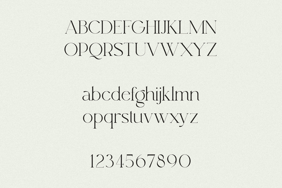 Egoist - Clean Serif, a Serif Font by Mikhail Kitsune (Photo 8 of 9)
