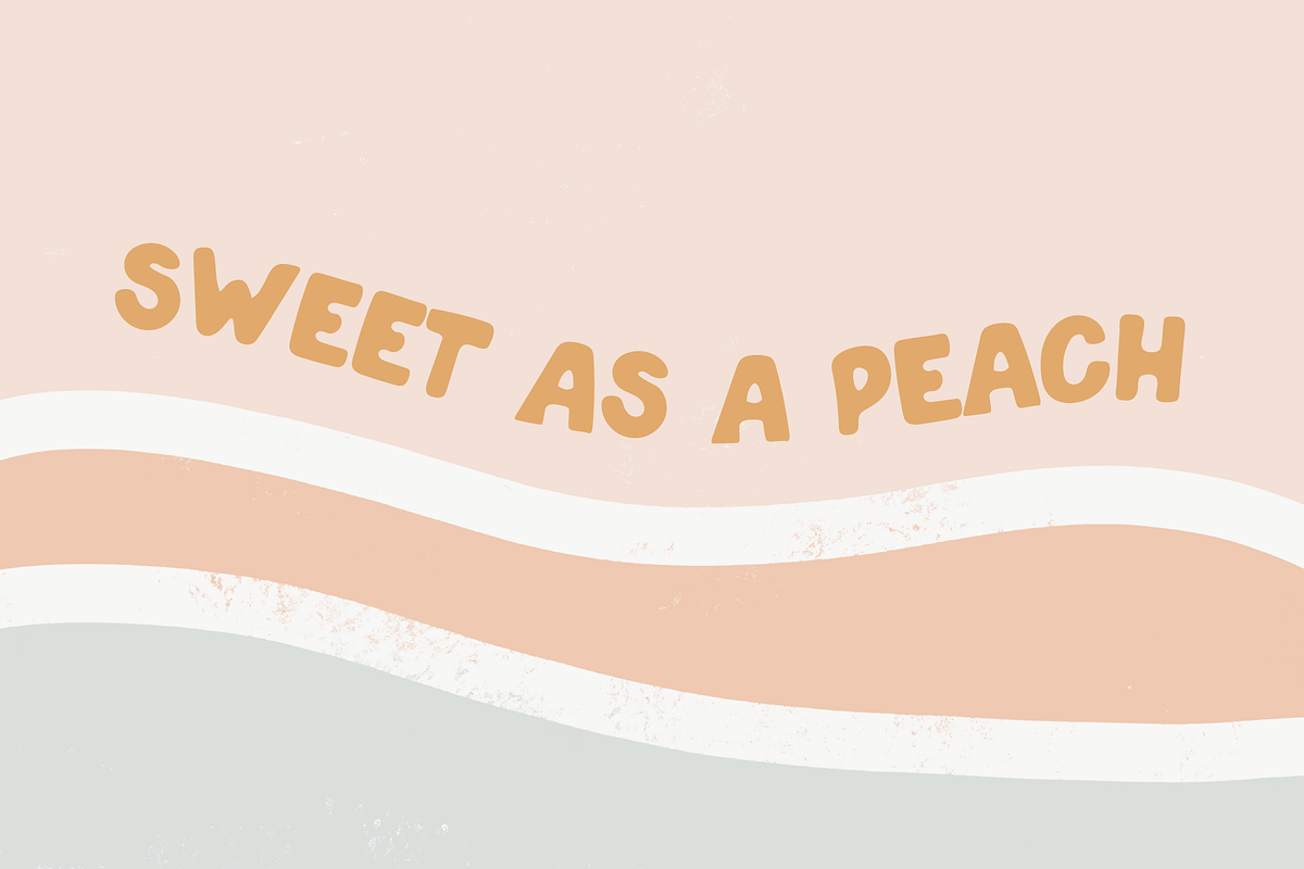 Canva Social Media Templates + Font, a Social Media Template by Forth and Wild (Photo 8 of 8)