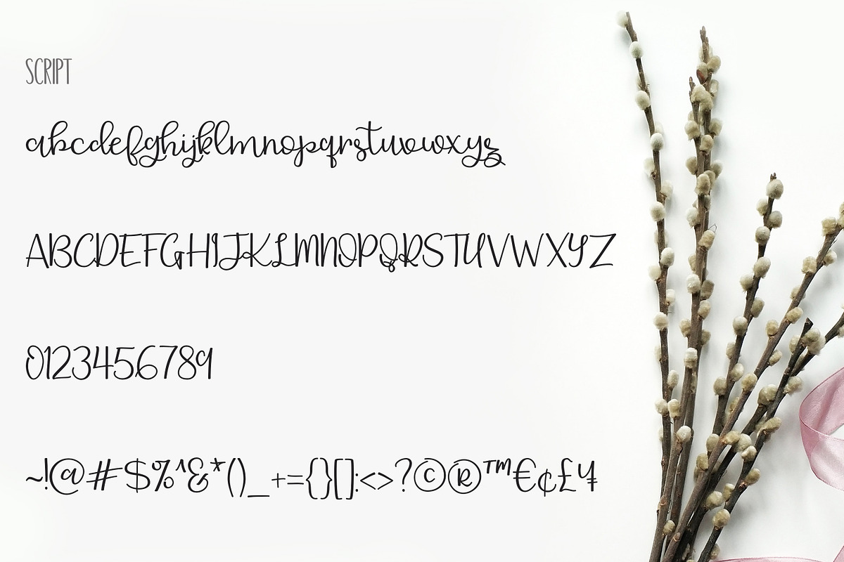 Delicate Romance Font Duo preview 6
