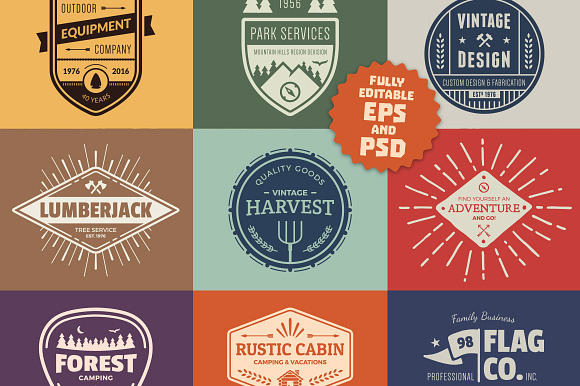 Vintage Logo Graphics & Badges preview 4
