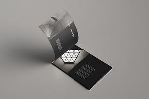 Corvus Brochure Template