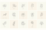 Birth-Flowers. Trendy Plants, Logos, a Seasonal Illustration by Designwork (Thumbnail 12 of 21)