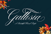 Gallisia Script