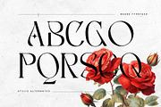 Bagek - Modern Display Serif, a Serif Font by Nirmana Visual (Thumbnail 6 of 8)