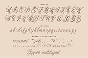 Dellatino - An Elegant Script Font, a Script Font by Ainun Jinan (Thumbnail 11 of 12)
