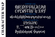 Amalia Nurse Script LS, a Script Font by GranzCreative (Thumbnail 2 of 15)