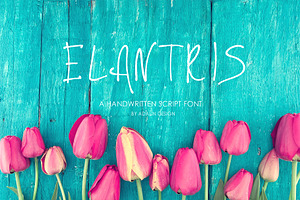 Script Elantris