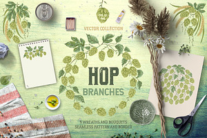 Hop branches. Vector collection