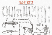 Bag of Bones | Vintage Clipart, a Seasonal Illustration by GVGraphics (Thumbnail 8 of 13)