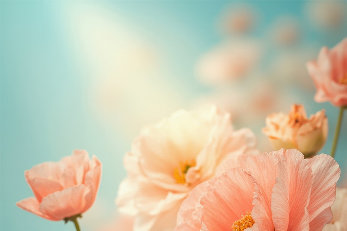 Soft Peach Floral Pack, a Decorative Illustration by StockVerse Creative (Photo 2 of 6)