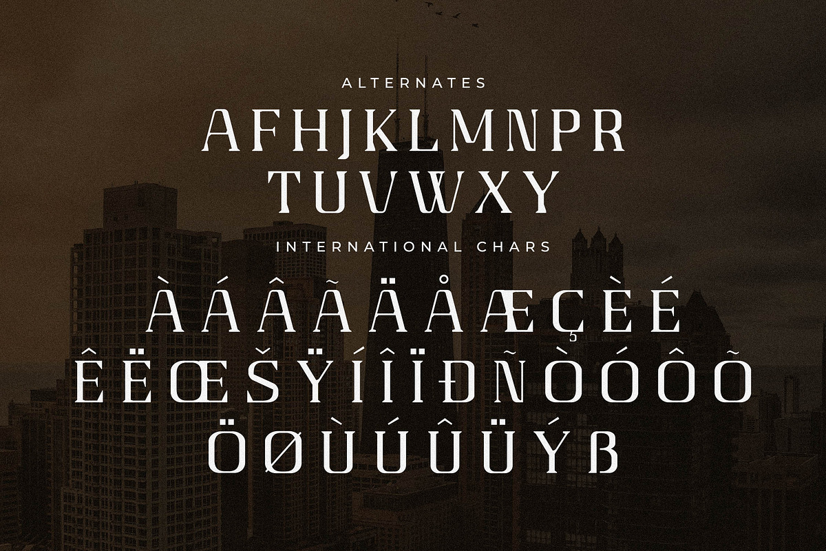 Gaines Display Serif Font, a Serif Font by Storytype Studio (Photo 14 of 15)