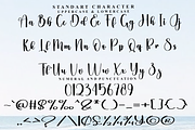 Delightful, a Handwritten Font by FreshTypeINK (Thumbnail 3 of 8)