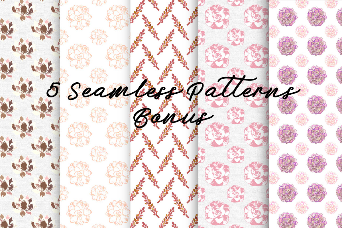 Succulents Bundle PNG + Patterns, an Illustration by Alexandra Fulger (Photo 2 of 8)