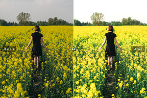 Canola Pro Lightroom Presets