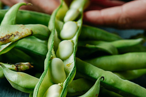 closeup of a man taking broad beans out of its pod, a Photo by Nito