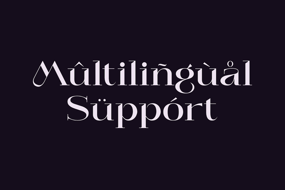Asmake - Modern Serif Font, a Serif Font by Sealoung (Photo 8 of 9)