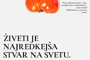 ZT Chablis - Classic serif, a Serif Font by zelow type (Thumbnail 13 of 15)