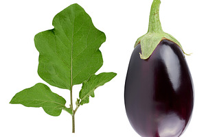 A ripe eggplant with a green stem and a green leaf against a iso, a Food & Drink Photo by ndanko