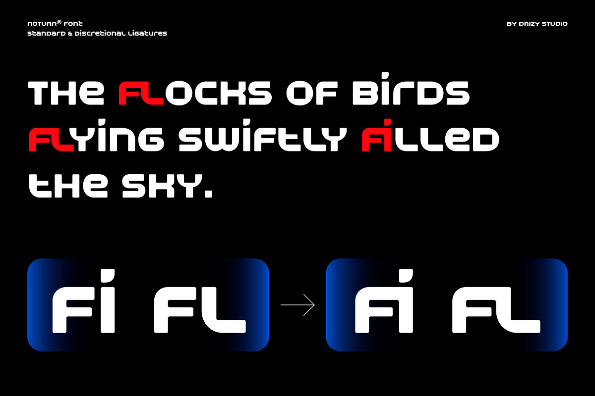 Notura – Rounded Display Sans Font, a Sans Serif Font by Drizy (Photo 4 of 10)