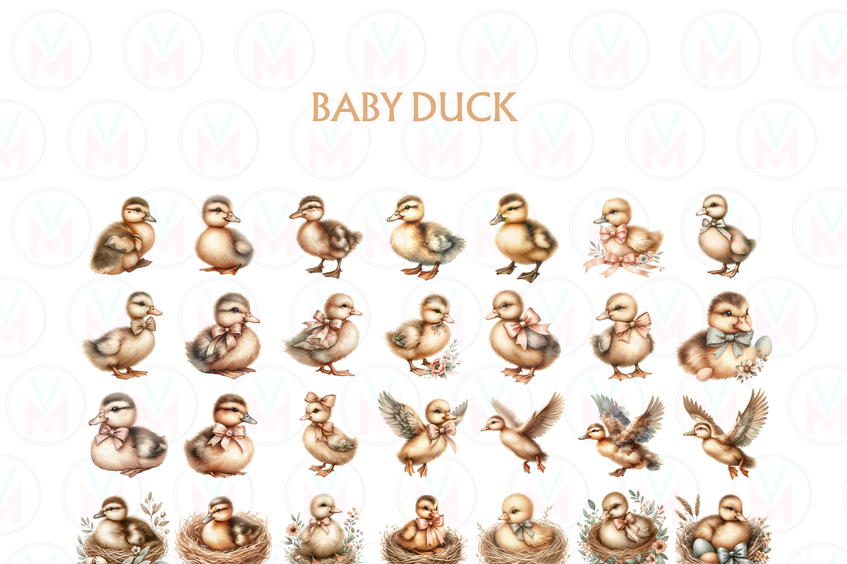 Watercolor Baby Duck ClipArt PNG, an Animal Illustration by VM PARTYS  BY TAIRUMA (Photo 9 of 10)