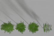 Eucalyptus tree #1, an Environmental 3D Model by AndrewWhite (Thumbnail 5 of 13)