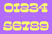 Sunny Groovy Retro Display Font, a Serif Font by timelesstype.co (Thumbnail 16 of 20)