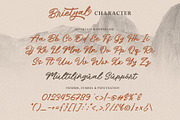 Brietyal Script | a handwritten font, a Script Font by Beautypes (Thumbnail 6 of 8)