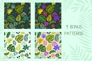 Tropical Set + Bonus Patterns, a Decorative Illustration by Imaginasty (Thumbnail 3 of 4)