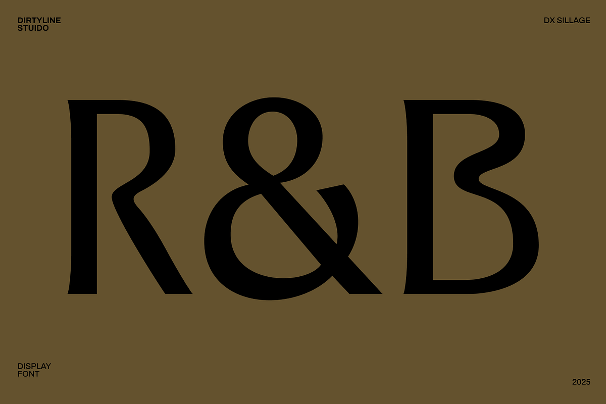 Dx Sillage Elegant Serif Font, a Serif Font by Dirtyline Studio (Photo 7 of 17)