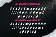Brushlinerz - Expressive Brush Font, a Handwritten Font by Variatype (Thumbnail 8 of 8)