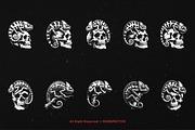 10 Bundle Dark Art Chameleon Lizard, an Illustration by Morspective (Thumbnail 6 of 7)