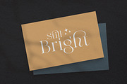 Maglite - Modern Ligature Serif, a Serif Font by Sarid Ezra (Thumbnail 5 of 13)