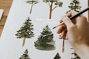 Watercolor Forest Trees Clipart, an Education Illustration by Ooh Lily (Thumbnail 6 of 6)