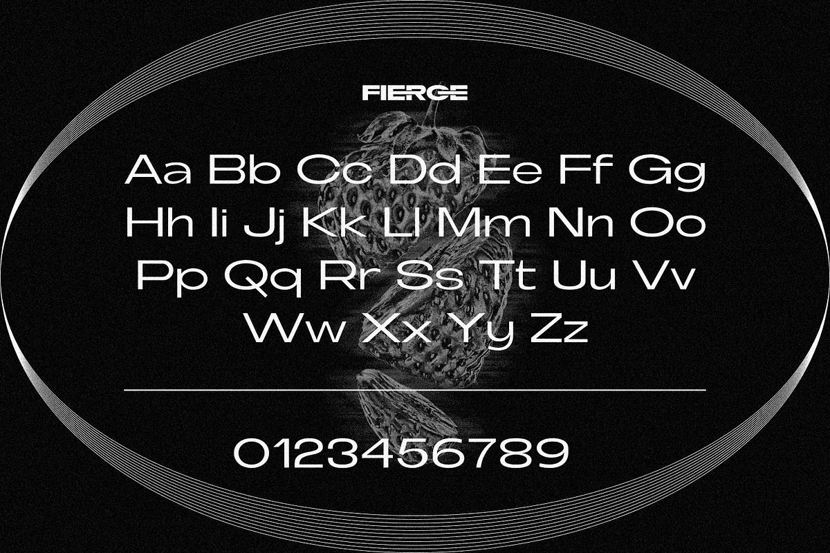 Fierce - Modern Sans Family, a Sans Serif Font by Eotype Studio (Photo 11 of 15)